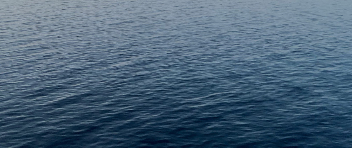 THE ETHICS OF THE SEA